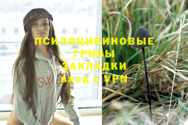 первитин Семёнов